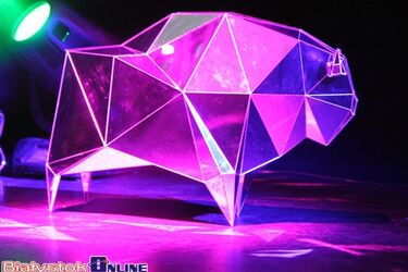 Pokaz filmów nagrodzonych na festiwalu Żubroffka. Wstęp wolny 