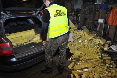 12 tys. paczek nielegalnych papierosów w audi