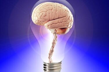 Bezpłatne warsztaty psychologiczne