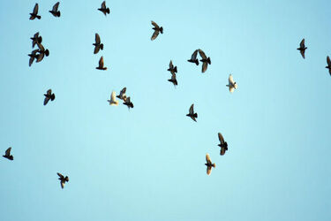 Przed nami słoneczny wtorek