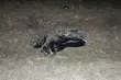 Motorower w rowie. Kierowca i pasażerka byli kompletnie pijani