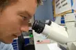 Zostań detektywem i trop GMO lub wirusa Ebola. Dni Otwarte Wydziału Biologiczno-Chemicznego