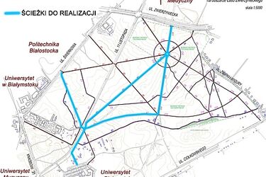 Las Zwierzyniecki. Prezydent rezygnuje z wycinki 500 drzew