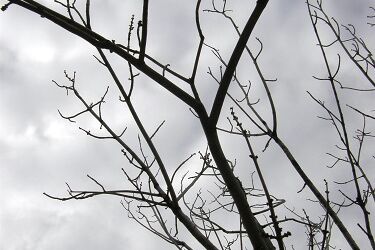 Wtorek pochmurny i wietrzny, ale nieco cieplejszy