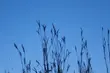 W piątek 15°C i dużo słońca