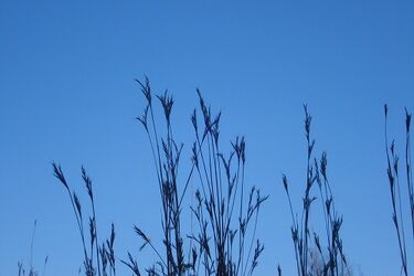 W piątek 15°C i dużo słońca