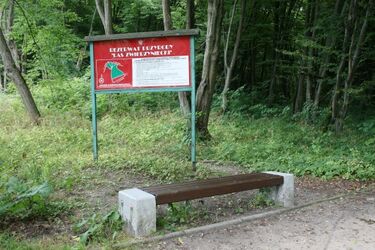 Ratujący Zwierzyniec chcą konsultacji ws. budowy ścieżek. Złożyli formalny wniosek