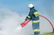 Pożar śmieci. Strażacy walczą z ogniem