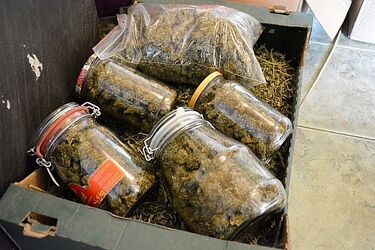 Policjanci CBŚ przejęli blisko 8,5 kg narkotyków