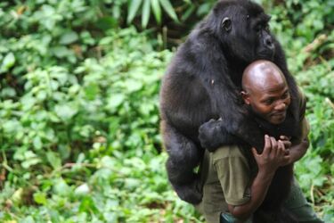 Afryka nie jest filmową pustynią. Jubileuszowy festiwal AfryKamera [WIDEO]