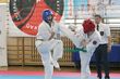 Karate. Za nami IV Otwarte Mistrzostwa Białegostoku w OYAMA Karate w Kumite