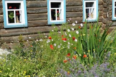 Warsztaty fotograficzne. Uczestnicy zajrzą do kwiatowych ogródków