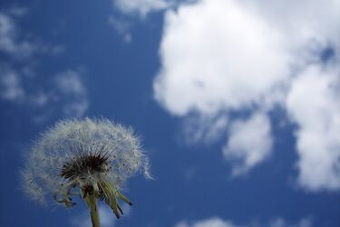 Weekend ciepły, ale z zachmurzeniami