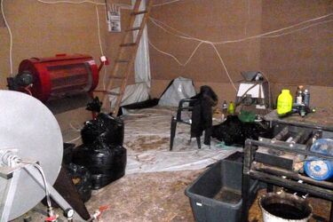 Celnicy zlikwidowali nielegalną fabrykę tytoniu do palenia