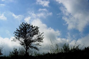 W weekend 17°C i zachmurzenia