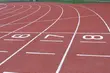 Lekkoatletyka. Akademickie Mistrzostwa Polski: Studenci Politechniki Białostockiej najlepsi