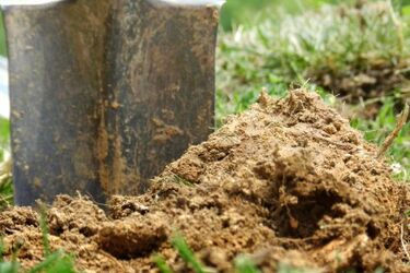 Policja szukała 62-latka. Rodzina pochowała go w sadzie koło domu