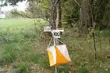 W Parku Zwierzynieckim odbędą się Mistrzostwa Podlasia w klasycznym Biegu na Orientację