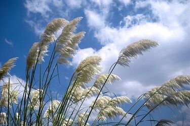 Jeszcze niższa temperatura i zachmurzenia