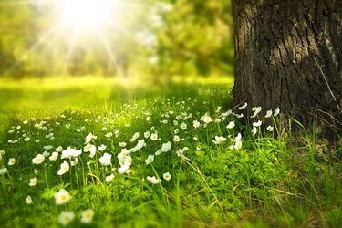 Czeka nas raczej pogodna środa