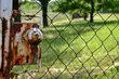 Włamywacz wpadł, bo zgubił telefon komórkowy