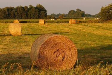 Wypadek podczas prac polowych. 34-latek w ciężkim stanie