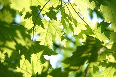 W weekend czekają nas wysokie temperatury