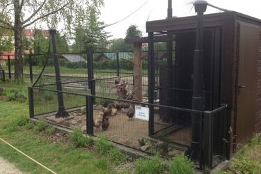 Akcent ZOO. Nowe domy dla rysi, kóz i puszczyka