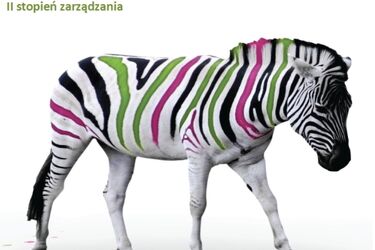 Nowość na Wydziale Zarządzania. Zarządzanie produktem i sprzedażą