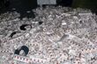 Blisko pół miliona paczek papierosów w rękach podlaskich celników