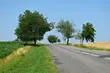 Bezrobotni uprzątną drogi i zadbają o pobocza