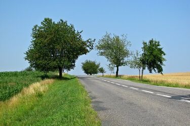 Bezrobotni uprzątną drogi i zadbają o pobocza