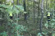 Poszedł do lasu za potrzebą. Poszukiwania 26-latka trwały kilka godzin
