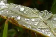 W czwartek temperatura będzie niższa