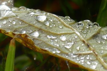 W czwartek temperatura będzie niższa