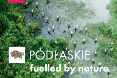 Promujemy się w Mediolanie. Podlaski tydzień na Wystawie Światowej Expo
