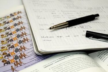 Szkoła Letnia – kurs dla przyszłorocznych maturzystów