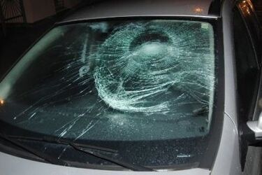 Miał potrącić łosia, a zabił kobietę. 43-latek stanie przed sądem