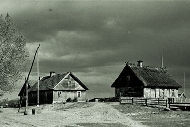 Morusy w fotografii Włodzimierza Puchalskiego. Nowa wystawa w Wielkiej Synagodze
