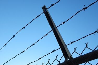 Niebawem miał wyjść z aresztu. Powiesił się na sznurówkach