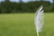 W piątek niecałe 20°C i silny wiatr