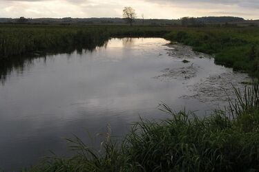 Kobieta utonęła w rzece Supraśl