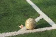 Podlaski futbol. Gra IV liga, startuje KOS. Wyniki weekendowych spotkań