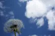Dziś 23°C i zachmurzenia