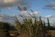 W środę 24°C i zachmurzenia