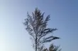 Ostatni weekend wakacji ciepły i pochmurny