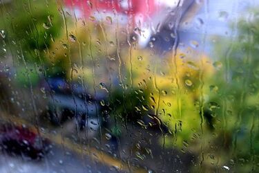 Pierwszy weekend września będzie chłodniejszy, pochmurny i deszczowy
