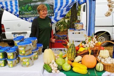 Najcięższy ogórek ważył 2 kilogramy! Takie święto tylko w Kruszewie [ZDJĘCIA]