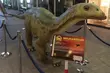 Ostatni moment, by obejrzeć naturalnej wielkości dinozaury