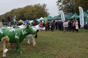 Podlaski Dzień Kukurydzy przyciągnął tłumy